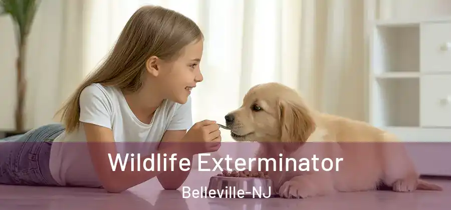 Wildlife Exterminator Belleville-NJ