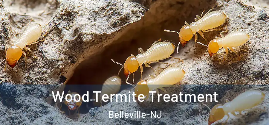 Wood Termite Treatment Belleville-NJ