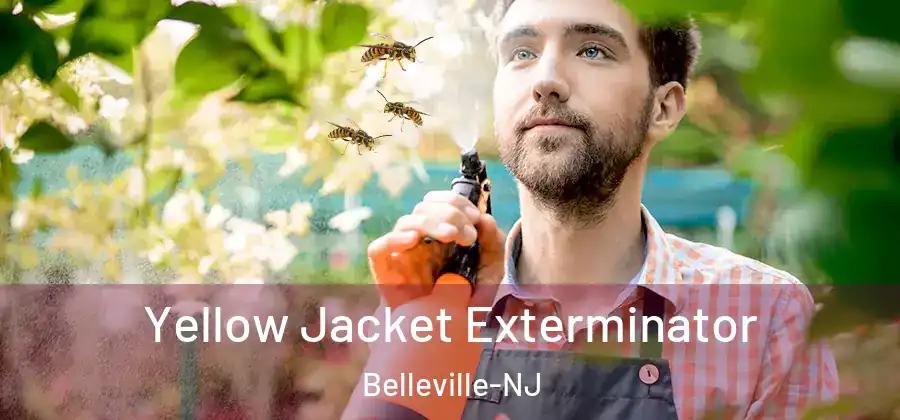 Yellow Jacket Exterminator Belleville-NJ